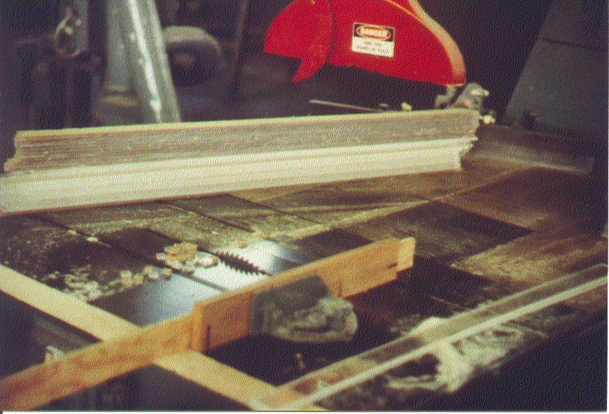 table saw safety (517302 bytes)
